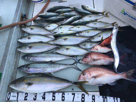 オーシャンスター(Ocean Star) …