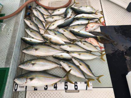 オーシャンスター(Ocean Star) …