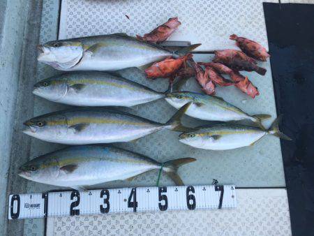 オーシャンスター(Ocean Star) …