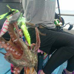 シースナイパー海龍 釣果