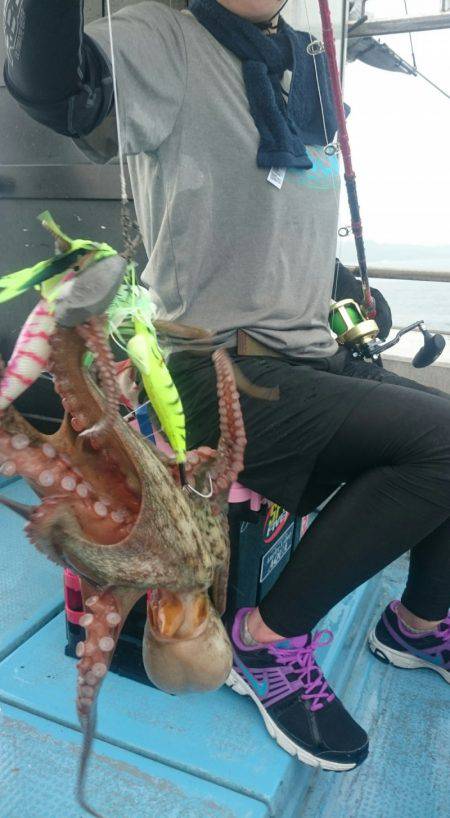 シースナイパー海龍 釣果