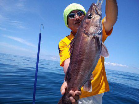 ひな丸 釣果