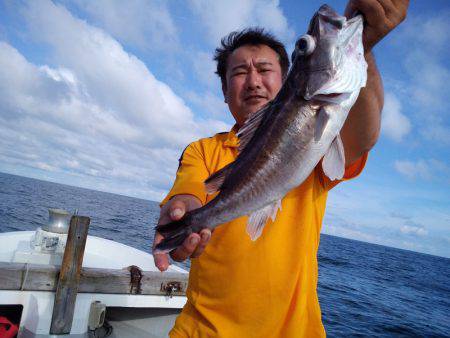 ひな丸 釣果