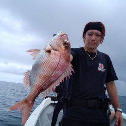 ひな丸 釣果