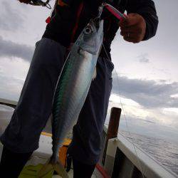 ひな丸 釣果