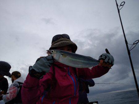 ひな丸 釣果