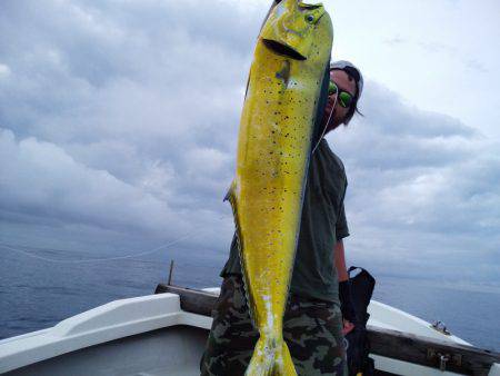 ひな丸 釣果