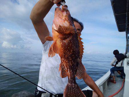 ひな丸 釣果