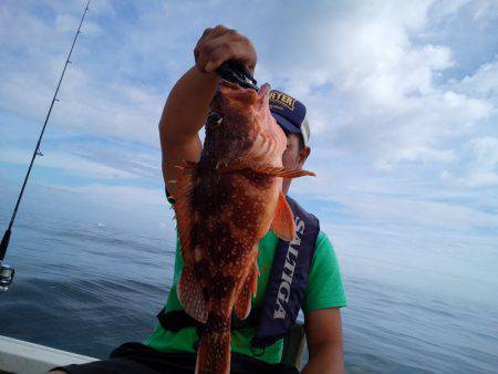 ひな丸 釣果