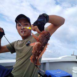 ひな丸 釣果