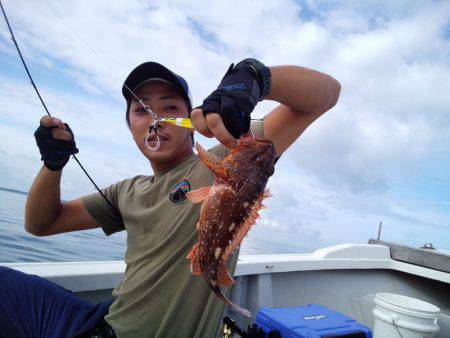 ひな丸 釣果