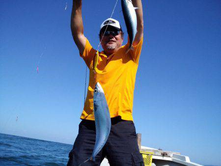 ひな丸 釣果