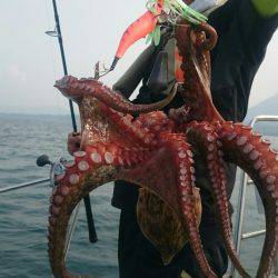 シースナイパー海龍 釣果