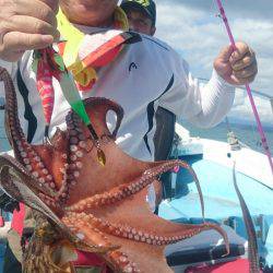 シースナイパー海龍 釣果