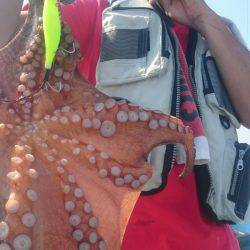 シースナイパー海龍 釣果