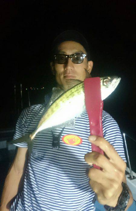 シースナイパー海龍 釣果