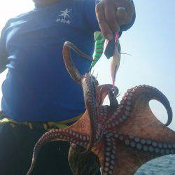 シースナイパー海龍 釣果