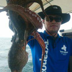 シースナイパー海龍 釣果