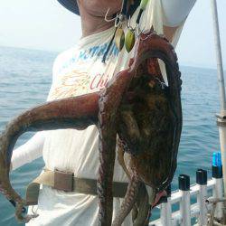 シースナイパー海龍 釣果