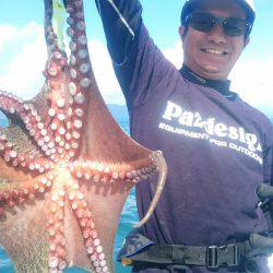 シースナイパー海龍 釣果