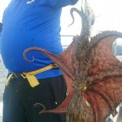 シースナイパー海龍 釣果