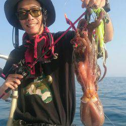 シースナイパー海龍 釣果