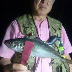 シースナイパー海龍 釣果