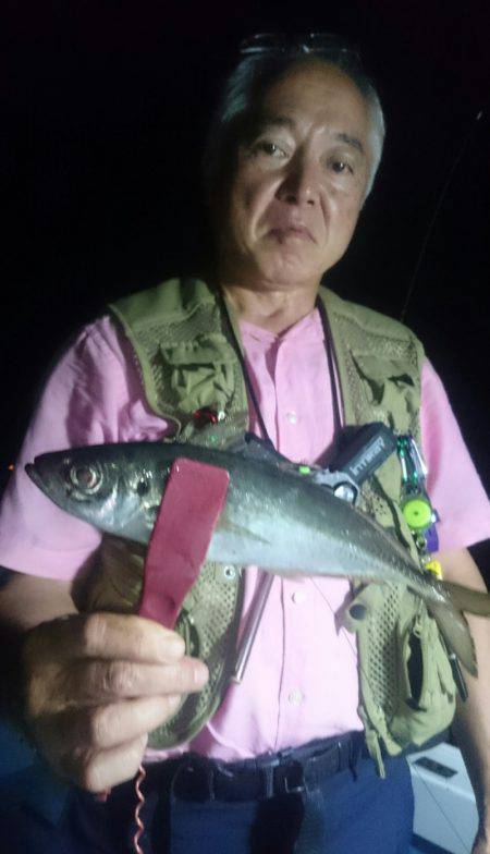 シースナイパー海龍 釣果