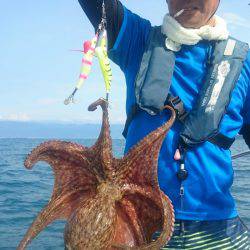 シースナイパー海龍 釣果