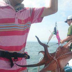 シースナイパー海龍 釣果