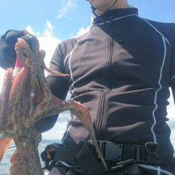 シースナイパー海龍 釣果