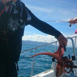 シースナイパー海龍 釣果