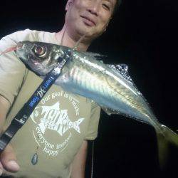 シースナイパー海龍 釣果