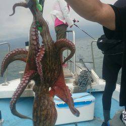 シースナイパー海龍 釣果