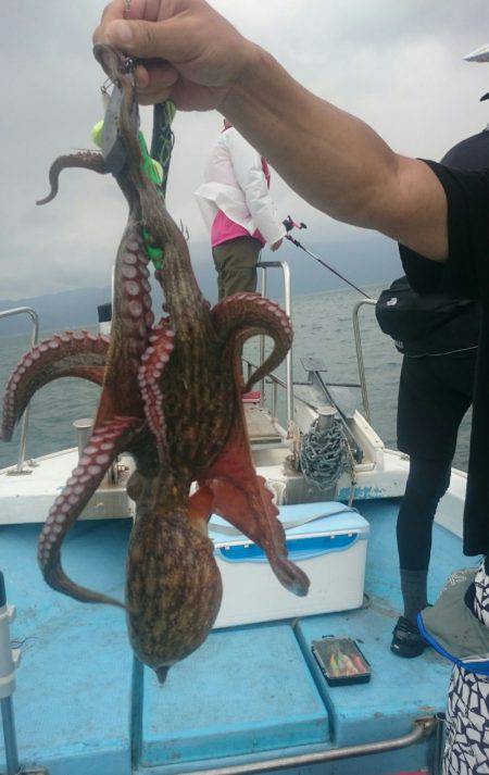 シースナイパー海龍 釣果