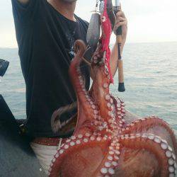 シースナイパー海龍 釣果