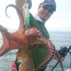 シースナイパー海龍 釣果