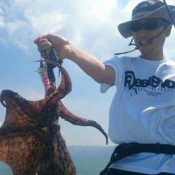 シースナイパー海龍 釣果