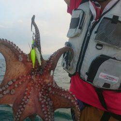 シースナイパー海龍 釣果