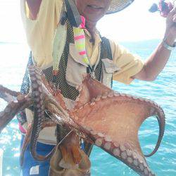 シースナイパー海龍 釣果