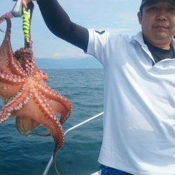 シースナイパー海龍 釣果