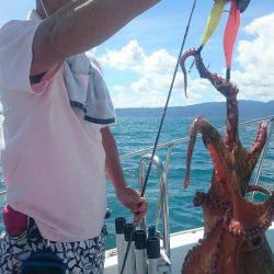 シースナイパー海龍 釣果