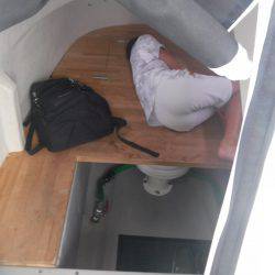 JDI Racing シールズマリンレジャー 釣果