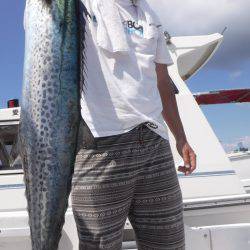 JDI Racing シールズマリンレジャー 釣果