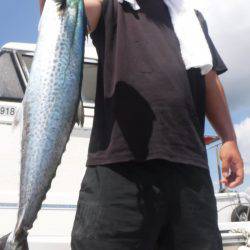 JDI Racing シールズマリンレジャー 釣果