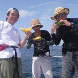 JDI Racing シールズマリンレジャー 釣果