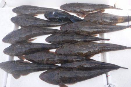 ＪＤＩ　Ｒａｃｉｎｇ　シールズマリンレジャ…