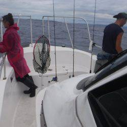 JDI Racing シールズマリンレジャー 釣果