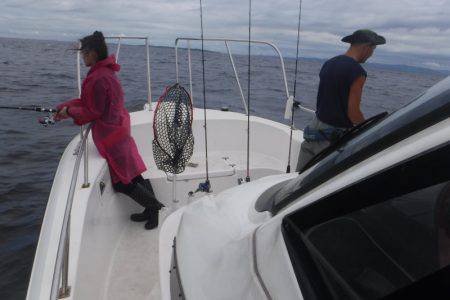 JDI Racing シールズマリンレジャー 釣果