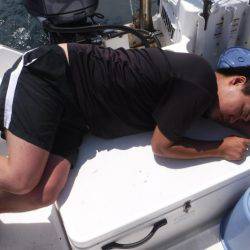 JDI Racing シールズマリンレジャー 釣果